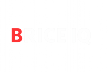 briceiq.com